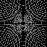 Minipony - Detach LP