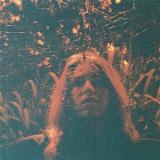 TURNOVER - PERIPHERAL VISION 10 YEAR ANNIVERSARY GLOW IN THE DARK EDITION)