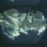 Rose Kallal & Mark O Pilkington - Implicate Explicate