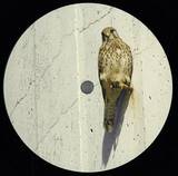 Matthias Springer / Helly Larson - Episode Two