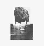 Kevin Vermijmeren - Those Glorious Heights (lp, Black Vinyl)