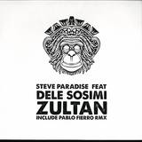 Steve Paradise Feat. Dele Sosimi - Zultan Ep