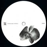 Lucy & Ercolino - Gmork