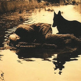 Eduard Artemiev - The Mirror / Stalker Original Soundtrack