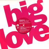 Dj Pierre Feat. Sylfronia - Destroy This Track