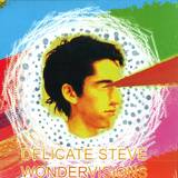 Delicate Steve - Wondervisions