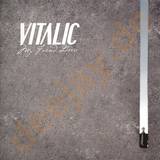 Vitalic - My Friend Dario