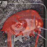 2 Rare People - Electric Circus