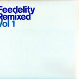 Feedelity Remixed - Vol 1