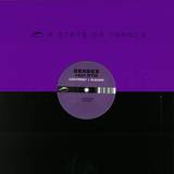 Senses Feat. Rtm - Contrast