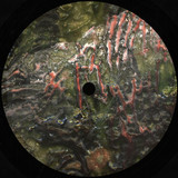 DATAWAVE - IMPLANT EP