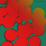 Wowflower - feverdream