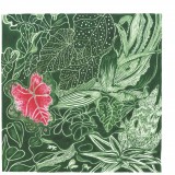 Double Geography - The Indoor Gardener