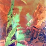 Dimorphodons - Searching for Dimorphodons EP