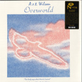 A.R.T Wilson - Overworld