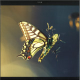 Amon Tobin - Isam LP 2x12"
