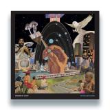 Visions of Light - Mycelium Bloom LP