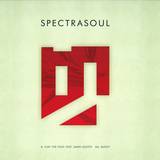 Spectrasoul - Play The Fool Ft. Jamie Jooste/bugsy