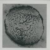 Drop - Vasundhara Ep