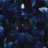 Denzel / Bravik / Satoi / Fred P - Va1