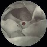 Cio D'or - Yocta To Yotta