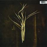 Lumisokea - Mnemosyne