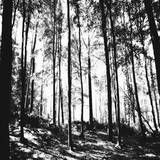 Folklore - Folktales 001