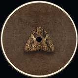 Medison & Ruckspin Feat. Rider Shafique - Life Cycle