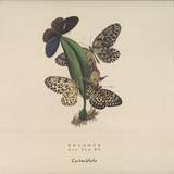 Dragosh - Got You Ep