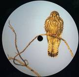 Matthias Springer / Lars Leonhard - Episode Three