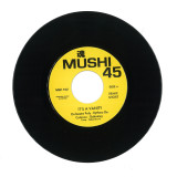 Orchestre Poly y Rythmo De Cotonou - It`s a Vanity