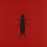 Yakh - The Earwig EP