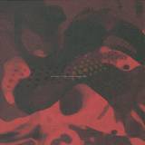 Sombrero Galaxy - Journey To The Centre Of The S