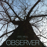 Joel Mull - The Observer 2x12"
