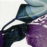 In Flagranti - Genital Blue Room