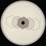 Haass - Andrenidae EP