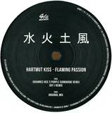 Hartmut Kiss - Flaming Passion