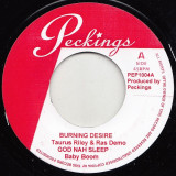 Taurus Riley & Ras Demo - Burning Desire