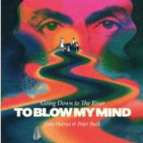 Luke Haines/Peter Buck - Going Down To The River... To Blow My Mind LP