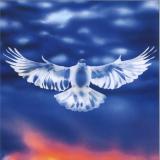 FaltyDL - Mission Barnhus