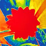 Turzi & Gage - Drop!