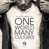 David Boomah - One World Many Cultures 2xcd
