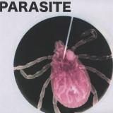 Unknown Artist - PARASITE01