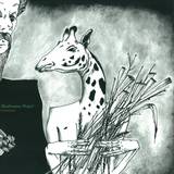 Mushrooms Project - Undergrass