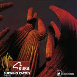 Bsd Bass-star-dos - Funkdation