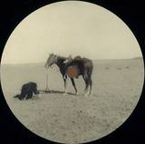 Desert Sky - Karma Ep
