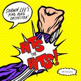 Shawn Lee's Ping Pong Orchestra - Hits The Hits