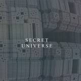 Secret Universe - The Cosmic Lens