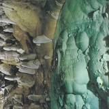 Ondo Fudd - Blue Dot