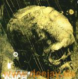 Dr. Shingo - Eclipse 2x12"